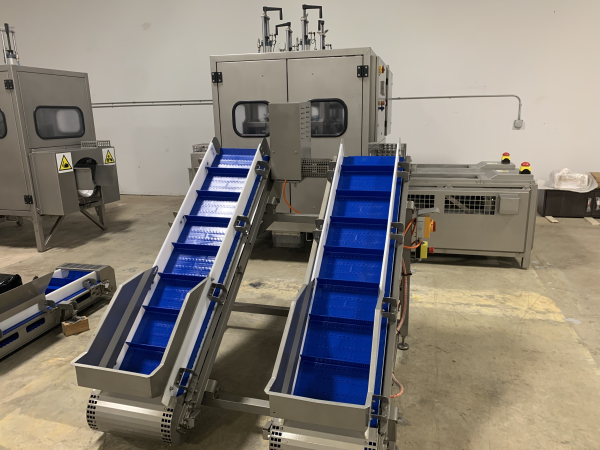 PROEX FOOD Floretter discharge conveyors