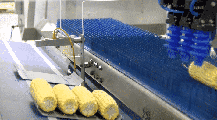 ProEx Food delta pick and place in action with sweet corn