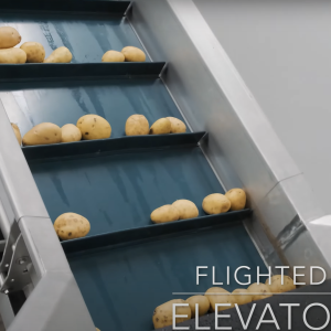 elevator conveyor from a potato line