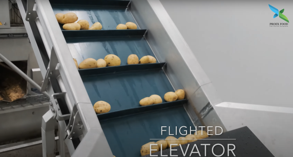 elevator conveyor from a potato line