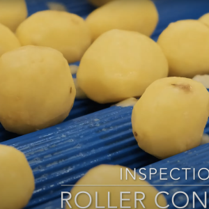 conveyor - inspection roller - potato example