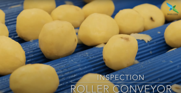 conveyor - inspection roller - potato example