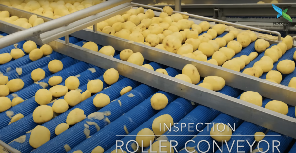 conveyor - inspection roller - potato example