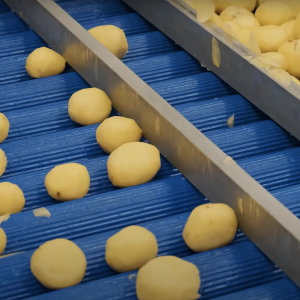 conveyor - grader - roller - potato example