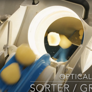 Sorters & Graders