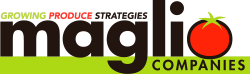 Maglio logo