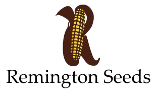 remington